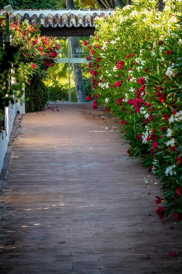 Marbella Banus Suites - Bird Of Paradise Playas Del Duque Banus Suite Apartment ภายนอก รูปภาพ